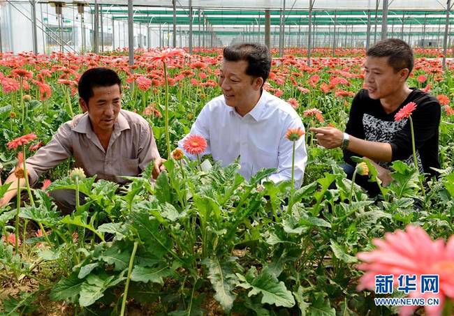 (新华全媒头条·爱国情 奋斗者·图文互动)(8)致敬,为祖国献身的英雄!